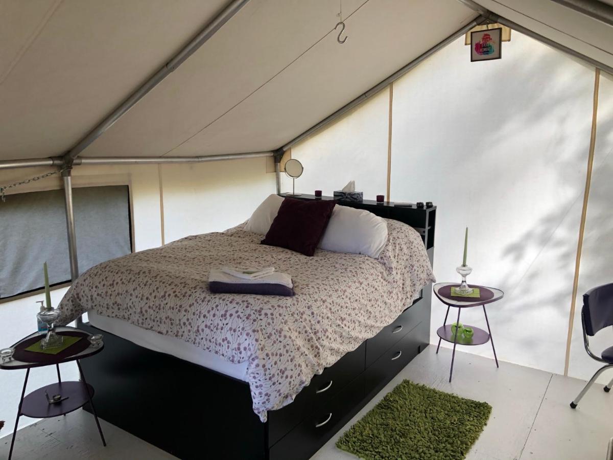 Отель Vines And Puppies Glamping Hideaway Jade City Экстерьер фото